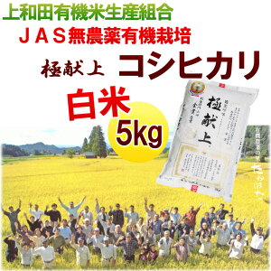 yߘa7NxYz R`Y acL@ĐYg RVqJ JAS_L@͔| 5kg  JAS ܈ Mtg