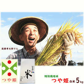 米 5kg 送料無料 令和5年産 山形県産 つや姫 白米 5kg 特別栽培米（農薬5割減 化学肥料5割減） 遠藤孝太郎 米 こめ 送料込み お試し