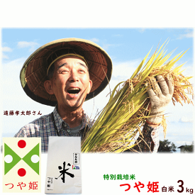 米 送料無料 令和5年産 山形県産 つや姫 白米 3kg 特別栽培米（農薬5割減 化学肥料5割減） 遠藤孝太郎 こめ お試し