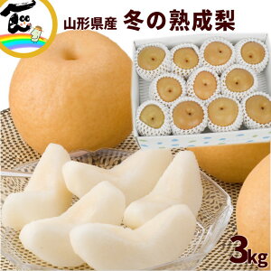  a R`Y n Gi 3kg (9`11) i 蕨 Mtg yVX[p[Z[