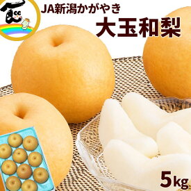 梨 JA新潟かがやき 大玉和梨 秀品 5kg 6～10玉　※品種おまかせ（新高・新興など）