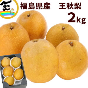 梨 福島県産 王秋梨 2kg(4〜6玉)秀品 送料無料 ギフト 贈答用 国産 フルーツ 果物