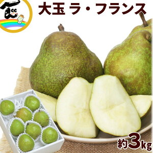 m tX R`Y  EtX 3kg (7`8) 5L`6LTCY