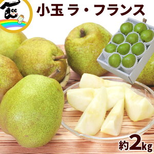 m tX R`Y ʃEtX 2kg ( 9`10 )