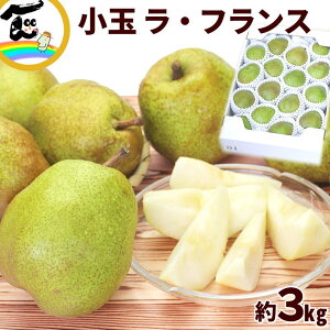 m tX R`Y ʃEtX 3kg ( 14`16 )