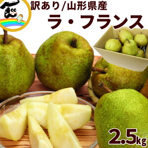 tX R`Y m 󂠂 tX 2.5kg (ʐ܂)