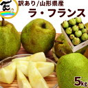 ラフランス 山形県産 洋梨 訳あり ラフランス 5kg (玉数おまかせ)