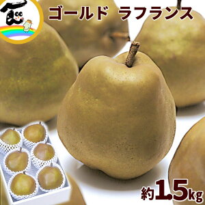 m tX R`Y S[h tX 1.5kg i6`7ʁjGi Ε Mtg