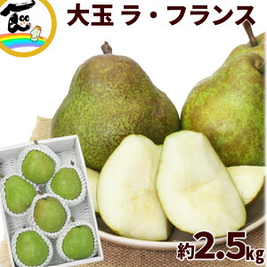 m tX R`Y  EtX 2.5kg (5`6) 5L`6LTCY Ε Mtg