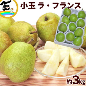 m tX R`Y ʃEtX 3kg ( 11`12 )