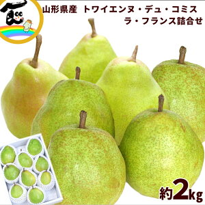 m tX R`Y EtXgCGkEfER~X 2kgAeF GiA2`4