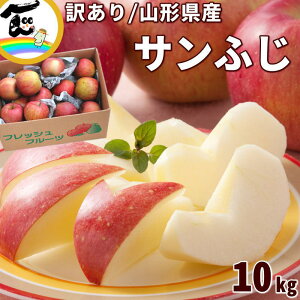 りんご 訳あり 10kg 送料無料 山形県産 サンふじ 10kg (玉数おまかせ)