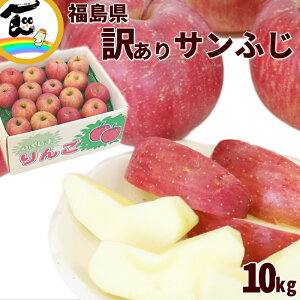 りんご 訳あり 福島県産 訳あり サンふじ りんご 10kg (玉数お任せ)