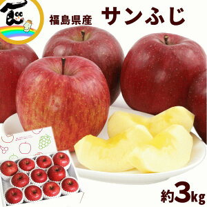  Y Tӂ  Gi 3kg (9`11 )