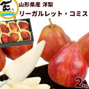【今だけ50％オフ】洋梨 コミス 山形県産リーガルレッド・コミス 秀品 5～8個 2kg