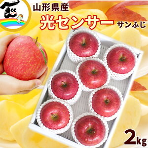  Tӂ R`Y ZT[I Tӂ Gi 2kg 7`9