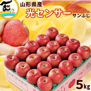  Tӂ R`Y ZT[I Tӂ Gi 5kg 20`25 