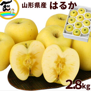   R`Y ͂邩 2.8kg (9`11)@͂邩 