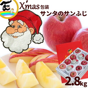 NX}X  R`Y T^ Tӂ Gi 2.8kg (9`12) NX}XMtg