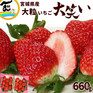  x Â  Mtg {錧jSR ̑嗱 ΂ 330g×2P i ƂƂ C`S 