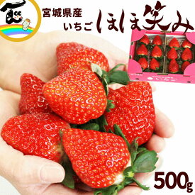 いちご 糖度 甘い ギフト 贈答 宮城県 ごえん ほほ笑み 250g×2P 高級 甘い 新鮮 お取り寄せ 糖度 イチゴ 苺 大粒