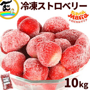  ⓀXgx[ gsJ}A Xgx[ 10kg(500g×20) Ⓚ qǂ  t[c {̉ʕ ۑ H t[c y {̉ʕ Sf t[c
