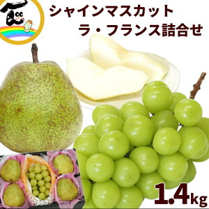 t[c l R`Y VC}XJbgƃEtXl iVC}XJbgFGiA500gAEtXFGiA4`5A1.4kgj