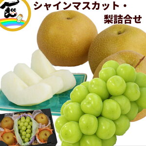 山形県産 シャインマスカット&梨詰合せ (シャインマスカット :秀品、1房、500g、梨:秀品、4〜5個)