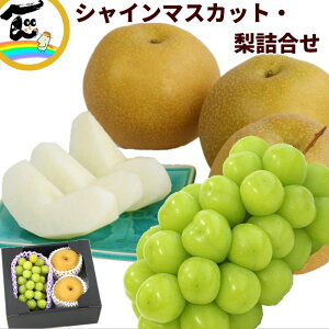 フルーツ 詰合せ 山形県産 和梨とシャインマスカット詰合せ(シャインマスカット:秀品、1房、500g、和梨 :秀品、2個)