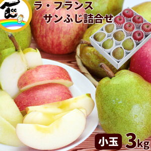 t[c l  R`Y Tӂ񂲁EtXl 3kg ʃTCYiTӂFGiA5`6AEtXFGiA6j