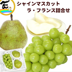 t[c l R`YVC}XJbgƗm liVC}XJbgF500gAEtXF2j