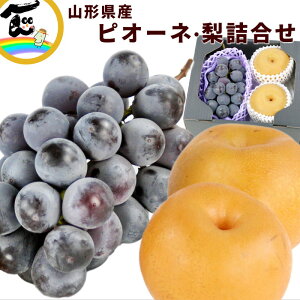 t[c l R`Y嗱ԂǂƗ l sI-lF500gAF2 t[cl Mtg