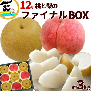 t[c l NŌ̗Zbg 12 Ɠt@Ci{bNX3kg (i߂AjFGiA4AiÂAjFGiA5) t[cl Mtg