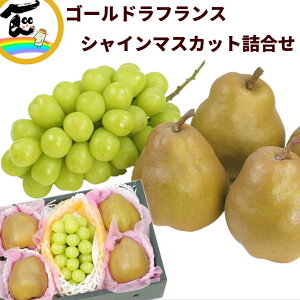 t[c l l R`Y VC}XJbgƃS[hEtXl iVC}XJbg G 550gȏ S[hEtX G 4  Z[  