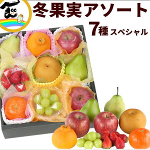 フルーツセット 冬果実アソートスペシャル いちご シャインマスカット サンふじ りんご ラ・フランス 梨 デコポン みかん フルーツ詰め合わせ ギフト 贈り物
