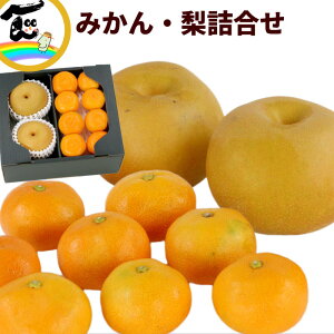 t[c l QY݂ƎR`Ya li݂iQYjFL܂LMTCY × 8AaiR`YjF2AKEHȂǁj