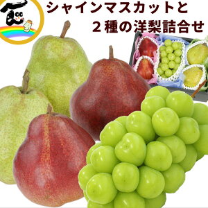 t[c l R`Y ԁEmƃVC}XJbg (VC}XJbgF1[A[KbhER~XF2AEtXF2) t[cl Mtg