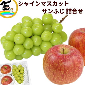 t[c l VC}XJbg  R`Y VC}XJbgATӂ񂲋l iVC}XJbgFGiA600gATӂFGiA2j Ε Mtg