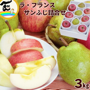 t[c l  m R`Y Tӂ EtX l 3kg@ (Tӂ6 EtX3) Ε Mtg