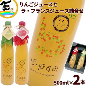 W[X R`Y ʏ`100@EtXW[X 񂲃W[X e500ml×e1{ l Mtg Xg[gW[X 