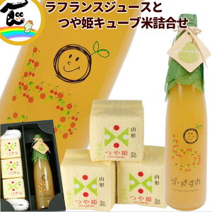 W[X  R`Y ʏ`100@yEtXW[Xz500ml×1{ yL[uāzP 300g×3 l Mtg Xg[gW[X 