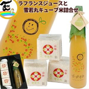 W[X  R`Y ʏ`100@yEtXW[Xz500ml×1{ yL[uāz 300g×3 l Mtg Xg[gW[X 