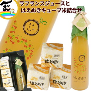 W[X  R`Y ʏ`100@yEtXW[Xz500ml×1{ yL[uāz͂ʂ 300g×3 l Mtg Xg[gW[X 