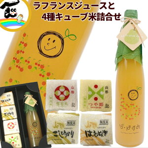 W[X  R`Y ʏ`100@yEtXW[Xz500ml×1{ y4L[uāzP  RVqJ ͂ʂ 300g×e1@v4 l  Mtg Xg[gW[X 