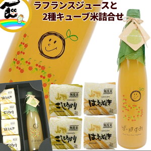 W[X  R`Y ʏ`100@yEtXW[Xz500ml×1{ y2L[uāz RVqJ ͂ʂ 300g×e2@v4 l  Mtg Xg[gW[X 