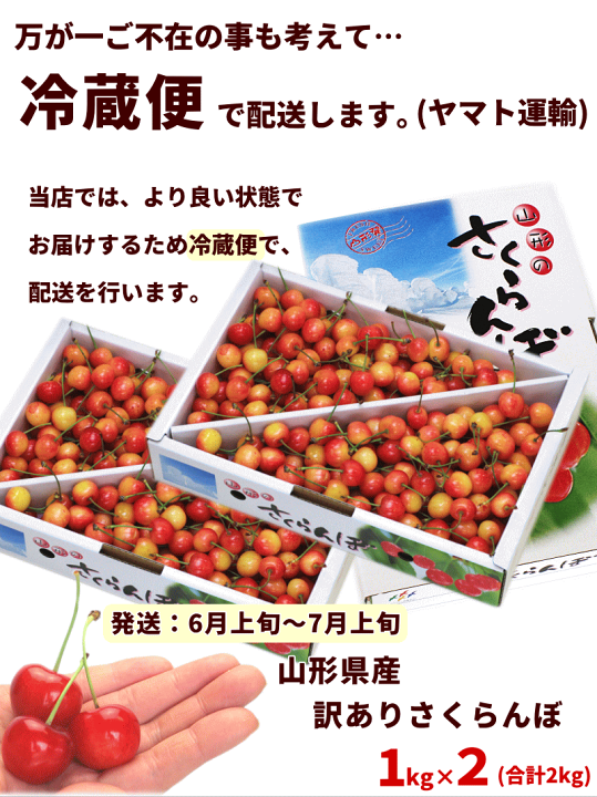 新品即決 山形県産 さくらんぼ 紅秀峰 プレミアムボックス 秀品 L