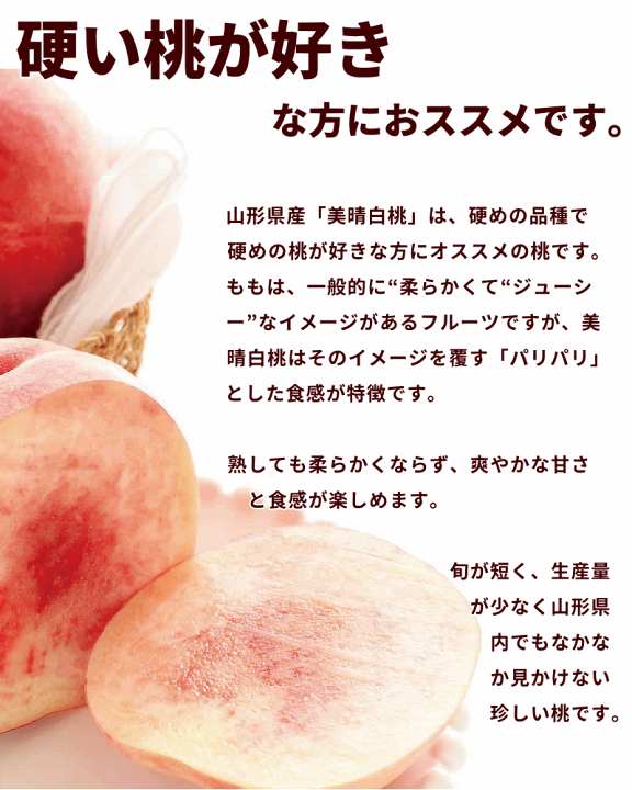 楽天市場】硬い桃 山形県 美晴白桃 2kg (5〜8玉) もも momo 送料