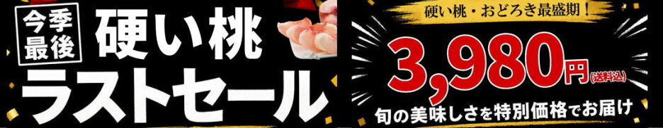 もう待たせません！  4,480円→3,980円「おどろき」ラストセール
