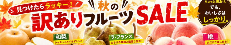 見つけたらラッキー！秋の訳ありフルーツSALE