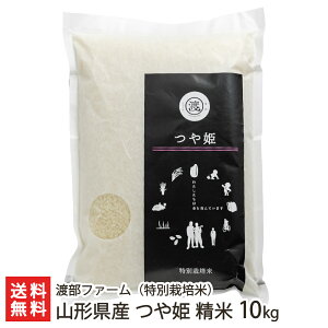 yߘa7NxVāzʍ͔|āi_Ew엿jR`Y P  Iׂ 2kg 4kg 5kg 10kg nt@[ R`v Ђ CX  嗱  R` YҒ 